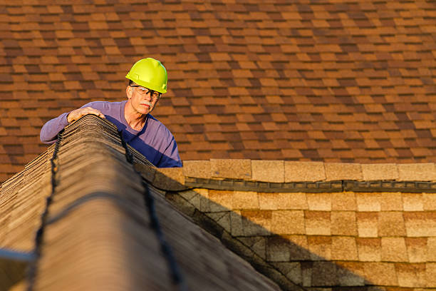 Best Metal Roofing Contractor  in Elwood, IN