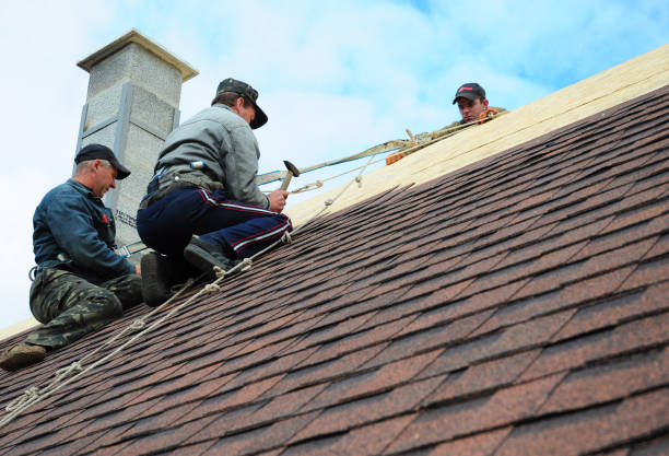 Roof Gutter Cleaning in Elwood, IN